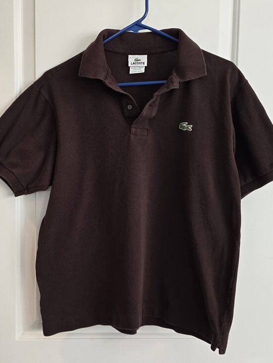 Lacoste Other - Lacoste Men's Brown Polo with Green Crocodile Logo